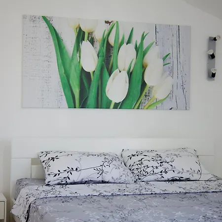 Апартаменты Cosy Nest Сплит